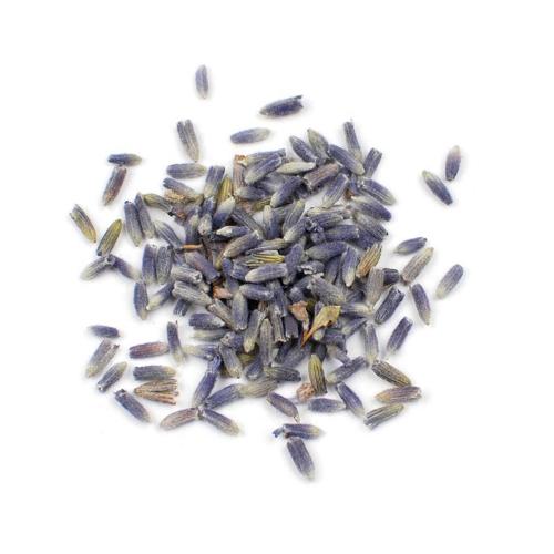 wild lavender seeds Lavender