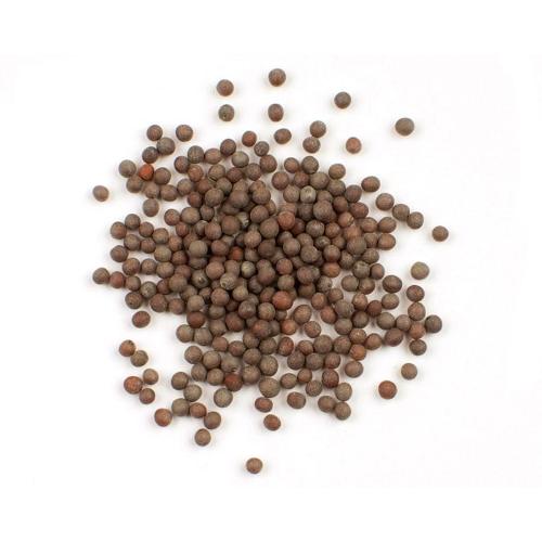 Mustard Seeds Brown