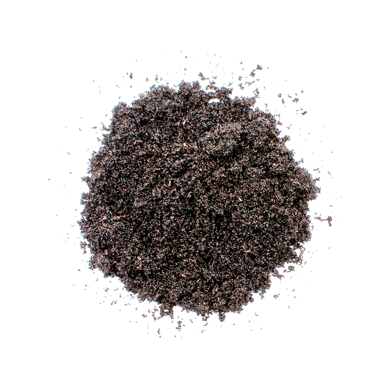 VANILLA TEA