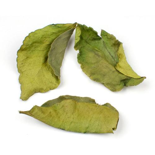 Kaffir Lime Leaves