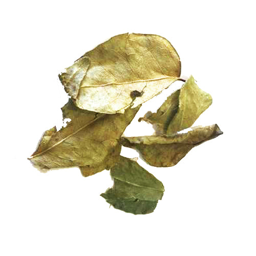 Curry Leaves Dry